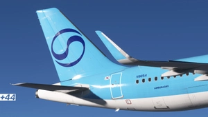 Korean Air NEW Fenix A320 - 8K [Fictional] thumbnail 7