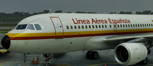 LAE A319 CFM & IAE PAX