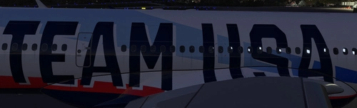 LatinVFR A330-900 Delta "Team USA" N411DX