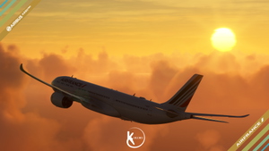 [DISCONTINUED] - LatinVFR A330-900neo Air France 2009 4K & 8K thumbnail 11