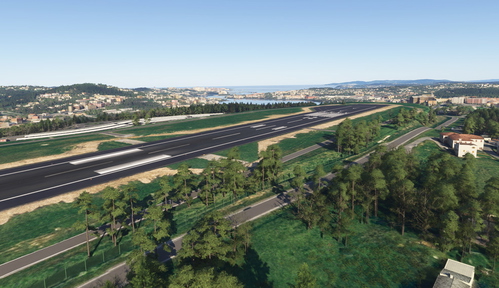 LECO Trees removed
