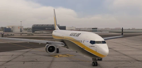 Livery Alas del Sur VA  (fictional) B737-900ER PMDG