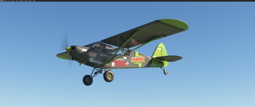 Livery Asobo Savage Cub- eSTOL Steffie (fictional)