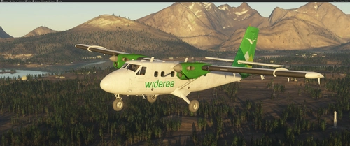 Livery DHC6-300 Twin Otter - Wideroe