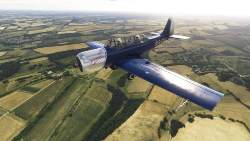Livery for the Yak-52 from Virtavia