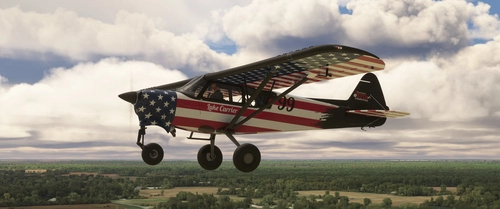 Livery Monster NX Cub - eSTOL Luke Carrier