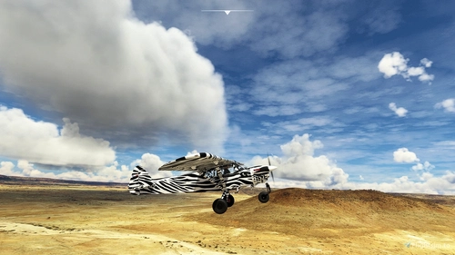 Livery Newdeclic Monster NXcub - Zebre- by Newdeclic