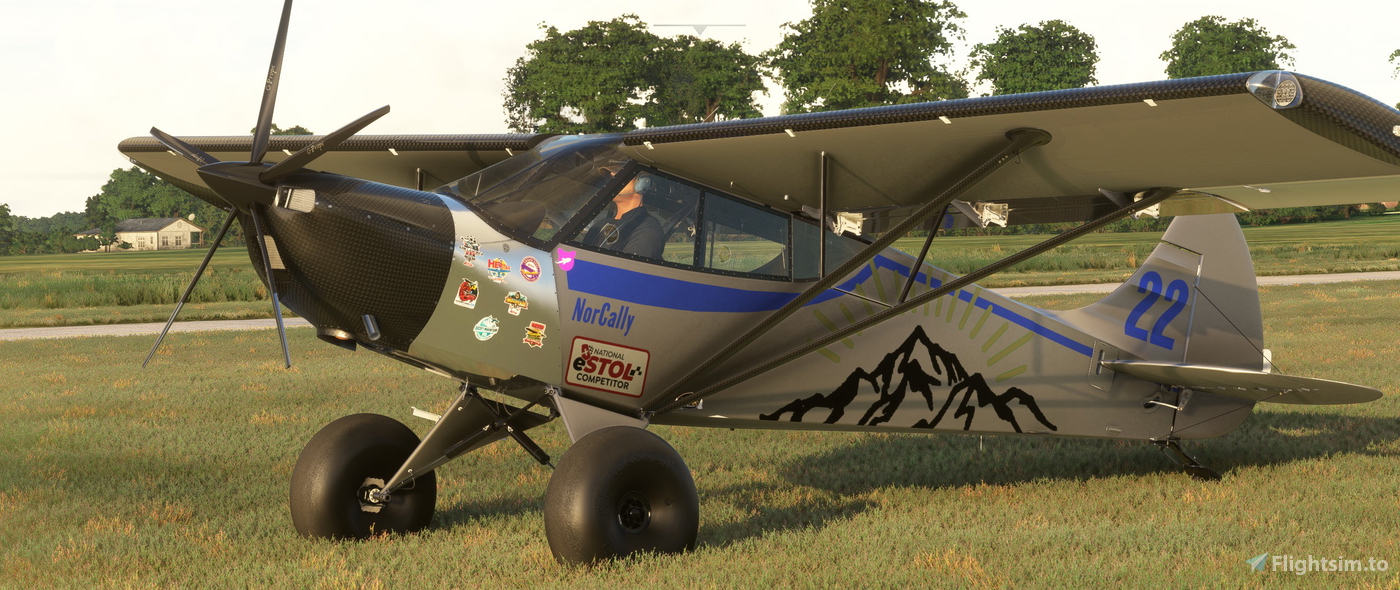 Livery Savage Norden ESTOL #22 Norcally (fictional) para Microsoft