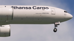 Lufthansa Cargo (D-ALFG | Sharkskin Technology) - PMDG 777-F thumbnail 5