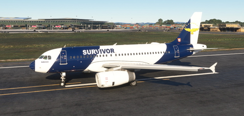 LVFR Airbus A319 IAE - Survivor Airlines