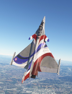 Other Liveries Liveries for Microsoft Flight Simulator | MSFS