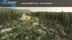 McCarthy, Ak (literally, almost all of it) thumbnail 14
