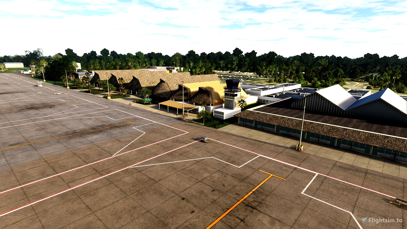 MDPC-Punta Cana-Dominican Republic Microsoft Flight Simulator