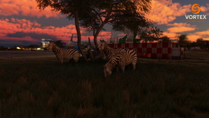 Mfuwe Airport  - (FLMF) thumbnail 11