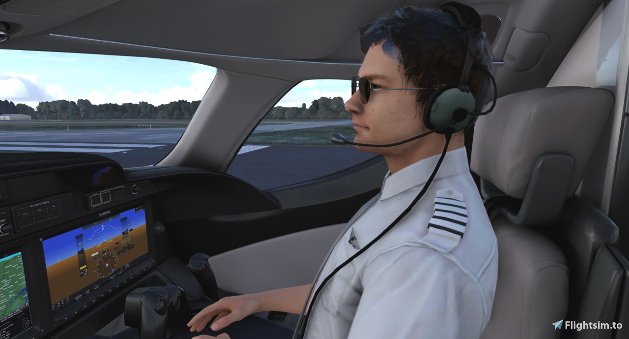 flightsim.to