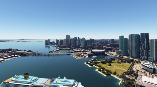 Miami no tree