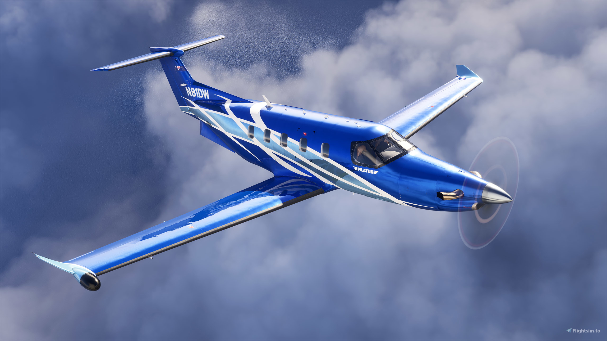 Microsoft Pilatus PC-12 NGX - N81DW (Dynamic Registration) のため