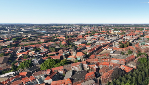 Münster no tree