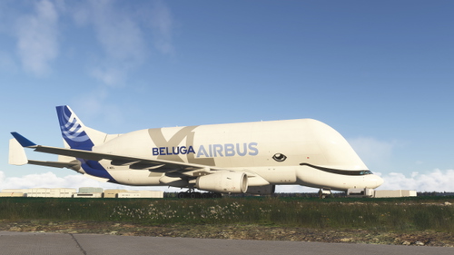 Modified Views Belgua XL