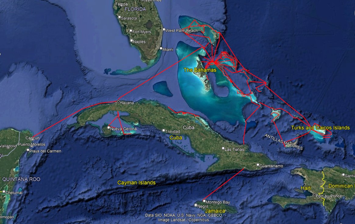 More Ships For The Bahamas - Image 1
