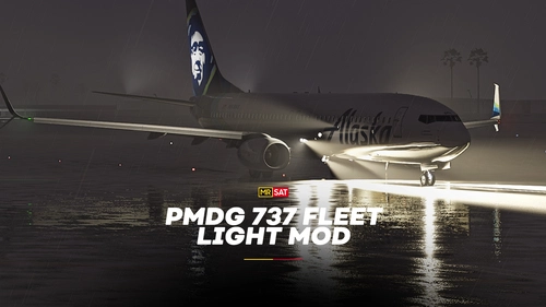 [MRSAT] PMDG 737 Fleet Lights Mod