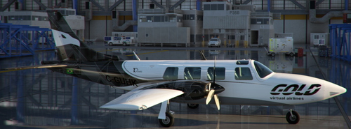 A2A Piper Aerostar 600 AEST - 10 Years Livery - Gold Virtual Airlines