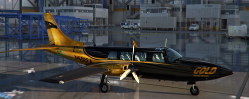 A2A Piper Aerostar 600 AEST - Luxury Livery - Gold Virtual Airlines