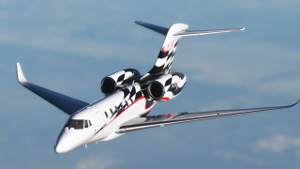 N1JM for FlightFX Citation C750 + (Dynamic Registration) thumbnail 4