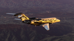 N80EM FlightFX Citation C750 + (Dynamic Registration) thumbnail 4
