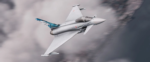 NATO Tiger Meet 2018 (Special Color) - 351° Squad. | EFA Typhoon - IndiaFoxtEcho