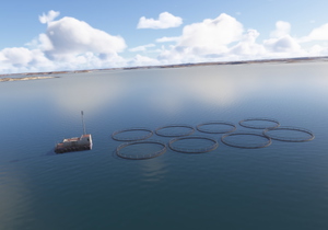 Norway Fish Farms Megapack (1067 items) thumbnail 1