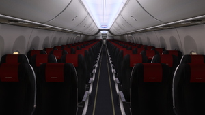 Norwegian Air Sweden (Pack 1) w/Cabin - iFly 737 MAX8 thumbnail 2
