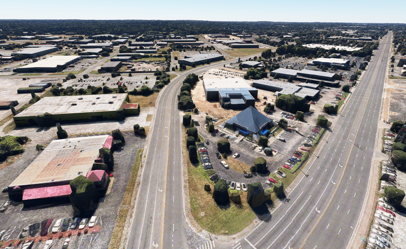 Ocala no tree for Microsoft Flight Simulator MSFS