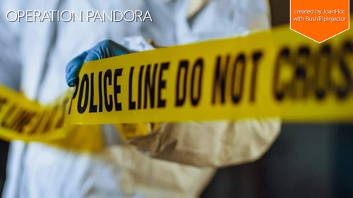 Operation Pandora
