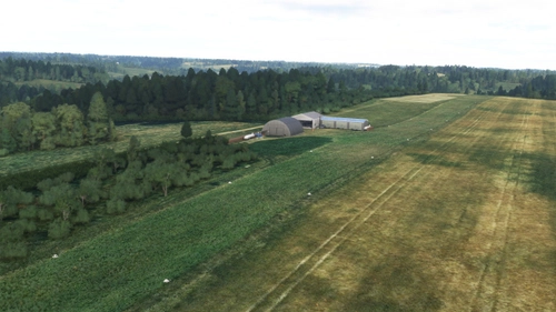 Orange Grove Barn Airstrip