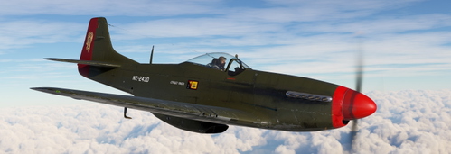 P-51D ah NZ2430 "Taieri" red-kaki (weathered)
