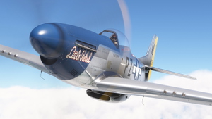 P-51D Little Rebel (Two Versions) thumbnail 1