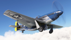 P-51D Little Rebel (Two Versions) thumbnail 7