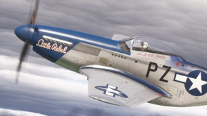 P-51D Little Rebel (Two Versions) thumbnail 3
