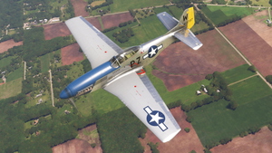 P-51D Little Rebel (Two Versions) thumbnail 14