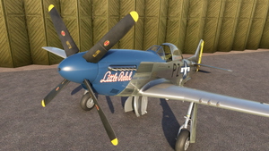 P-51D Little Rebel (Two Versions) thumbnail 9