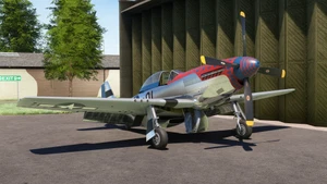P-51D Mustang Jersey Jerk (G-JERK) thumbnail 13