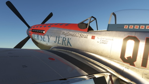 P-51D Mustang Jersey Jerk (G-JERK) thumbnail 3