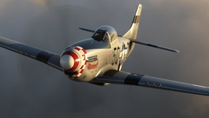 P-51D Mustang Marinell (G-MRLL) thumbnail 7
