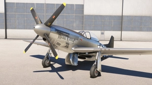 P-51D Mustang "Miss Kitty III" N376TM thumbnail 10