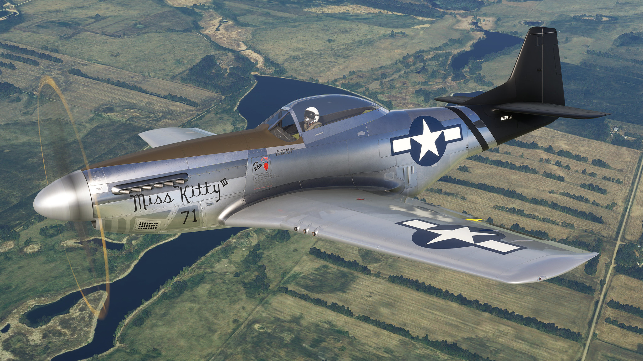 P-51D Mustang "Miss Kitty III" N376TM - Image 1