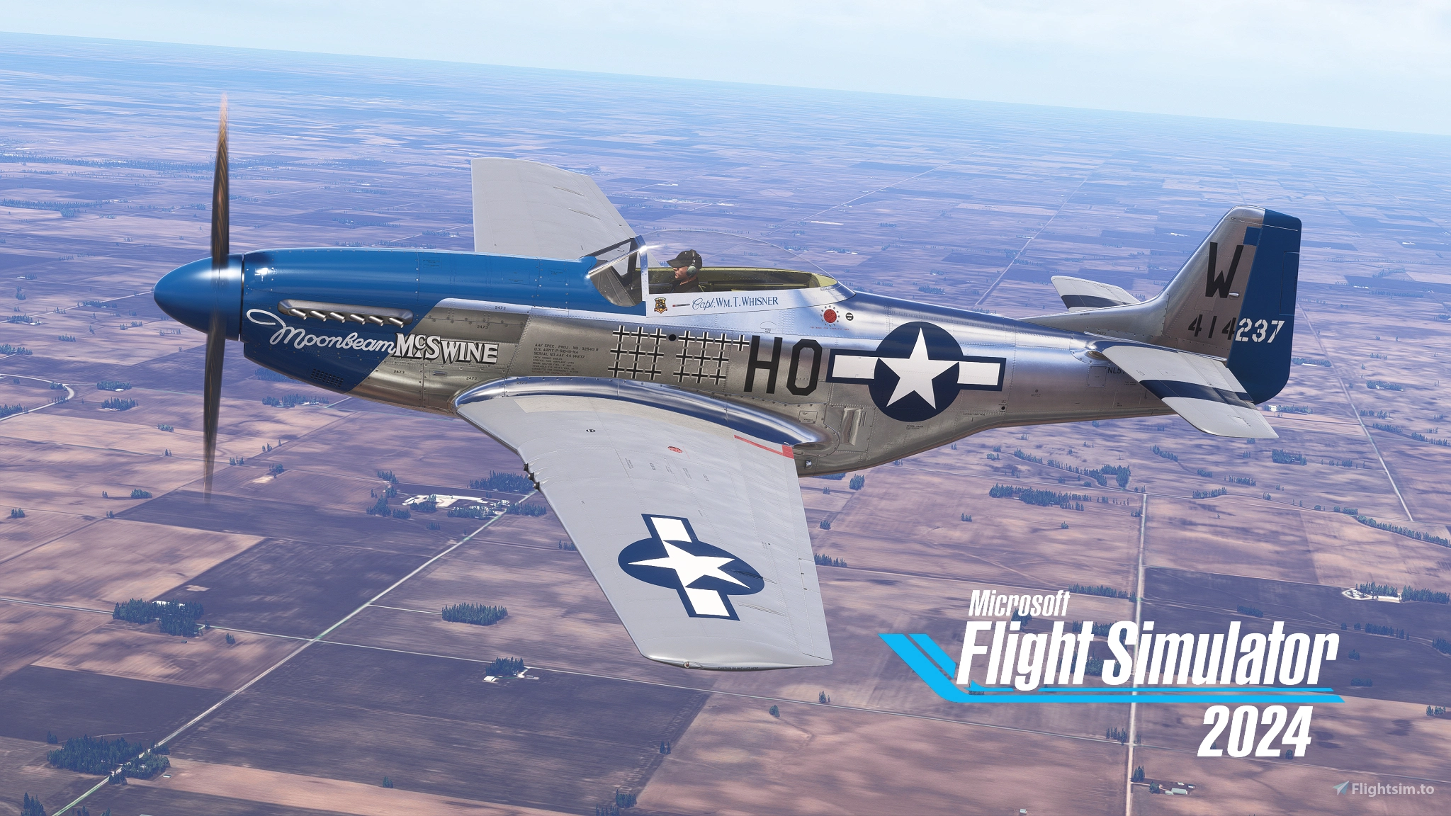 P-51D Mustang "Moonbeam McSwine" N51VL - Image 1
