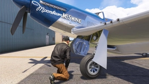 P-51D Mustang "Moonbeam McSwine" N51VL thumbnail 11
