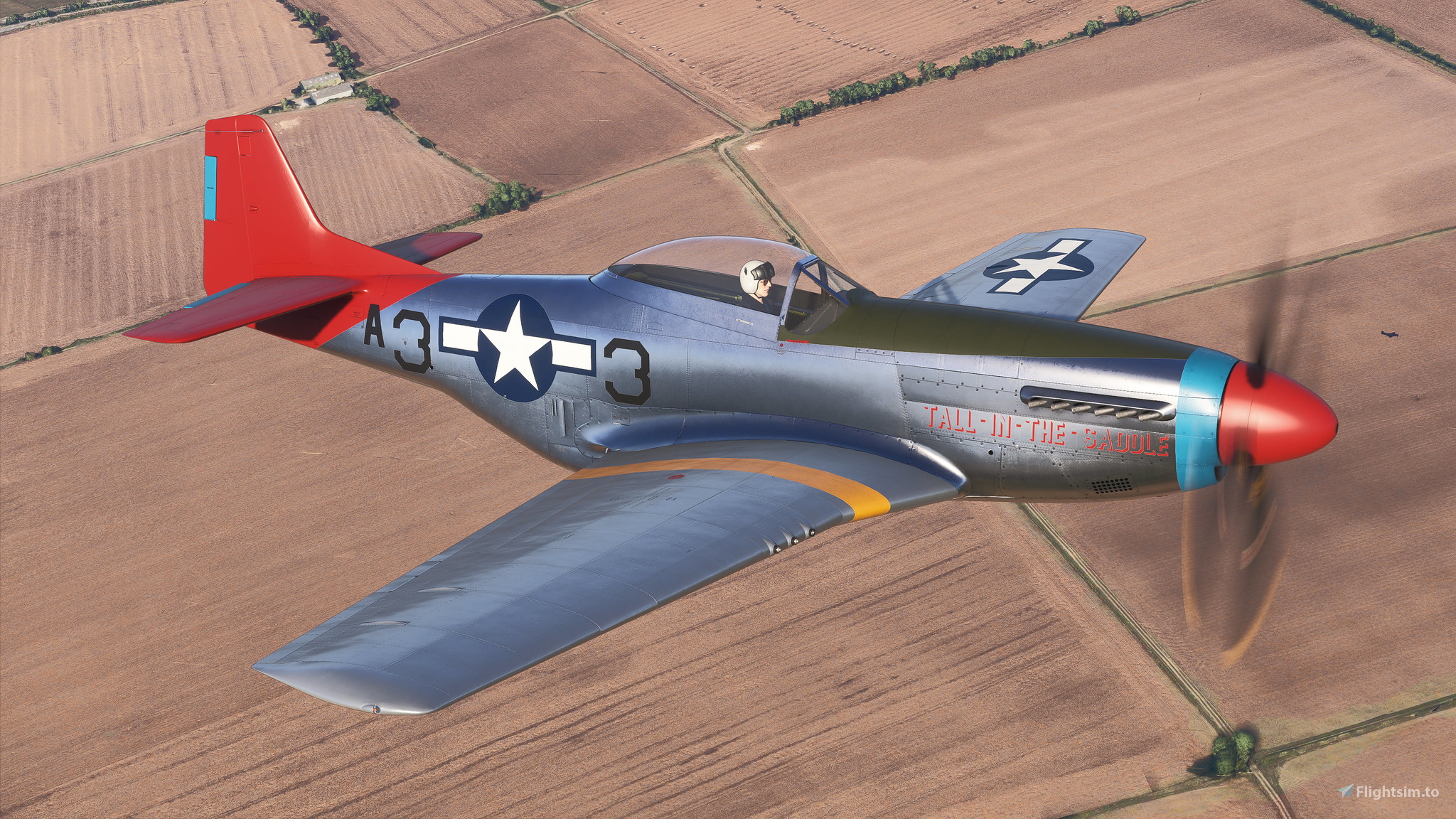 【希少】Sterling MOEDLS P-51 MUSTANG North American P-51D Mustang “Excalibur” | God Dwells in Small Things