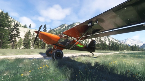 P42 Kitfox Northern Skies Livery
